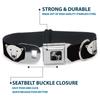 Dog Collar Seatbelt Buckle Polar Bear Repeat Black 18 to 32 Inches 1.5 Inch Wide view 4