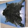 Dyed Black Springbok Skin Large from Africa Black Deer Hide view 2