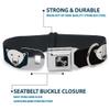 Dog Collar Seatbelt Buckle Polar Bear Repeat Black Blue Fade 11 to 17 Inches 1.0 Inch Wide view 4
