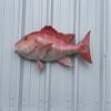30 Inch Red Snapper Half Mount Fish Replica  Fiberglass Wall Decor for Indoor or Outdoor Display view 1