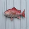 30 Inch Red Snapper Half Mount Fish Replica  Fiberglass Wall Decor for Indoor or Outdoor Display view 2