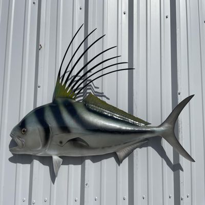 44" Roosterfish Half Sided Fish Mount Replica - Affordable Coastal Decor - Indoors Or Outside