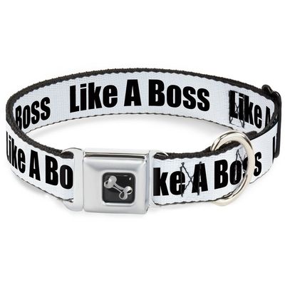 Dog Collar Seatbelt Buckle Like A Boss White Black 13 to 18 Inches 1.5 Inch Wide