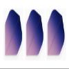 Retreiver 3 Sets of Vignette Transparent Standard Dart Flights Plus 3 Sets of Black Nylon Dart Flight Protectors (Purple Fade) view 3