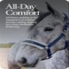 HORZE Howard Soft Fleece Padded Adjustable Polyester Horse Halter - Peacoat Dark Blue - Shetland view 3