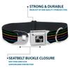 Dog Collar Seatbelt Buckle Pinstripes Black Multi Color 15 to 26 Inches 1.0 Inch Wide view 4