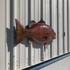 42" Cubera Snapper Half Mount Fish Replica,Fishing Wall & Coastal Decor view 4