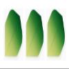 Retreiver 3 Sets of Vignette Transparent Standard Dart Flights Plus 3 Sets of Black Nylon Dart Flight Protectors (Green Fade) view 3