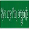 Kiss Me, I'm Organic - Magnetic Bumper Sticker / Decal Magnet (9" X 2.5")