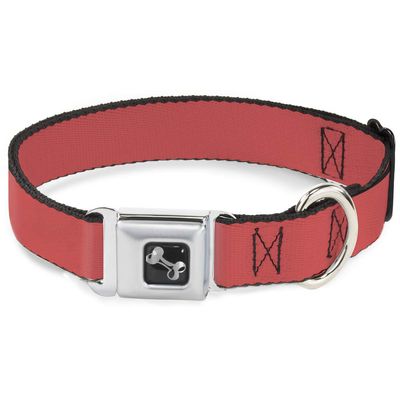 Dog Collar Seatbelt Buckle Solid Salmon Orange 16 to 23 Inches 1.5 Inch Wide