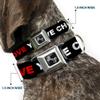 Dog Collar Seatbelt Buckle I Love You But Ive Chosen Dubstep Black White Red 11 to 17 Inches 1.0 Inch Wide view 2