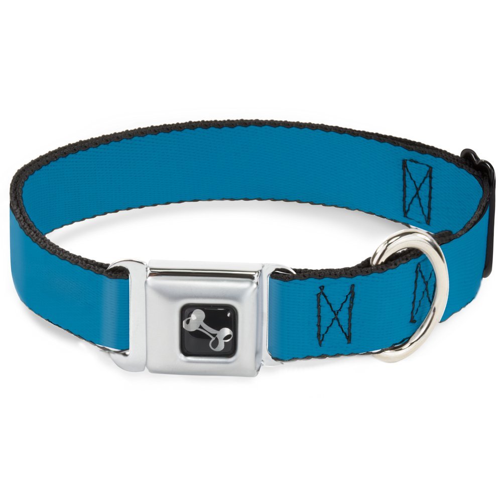 Dog Collar Seatbelt Buckle Vivid Turquoise 18 to 32 Inches 1.5 Inch Wide