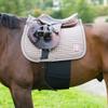 HORZE Elastic Protective Belly Guard | Anti-Rub and Anti-Chafe Girth Band for Horses - Black - Horse view 1