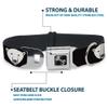 Dog Collar Seatbelt Buckle Polar Bear Repeat Black 9 to 15 Inches 1.0 Inch Wide view 4