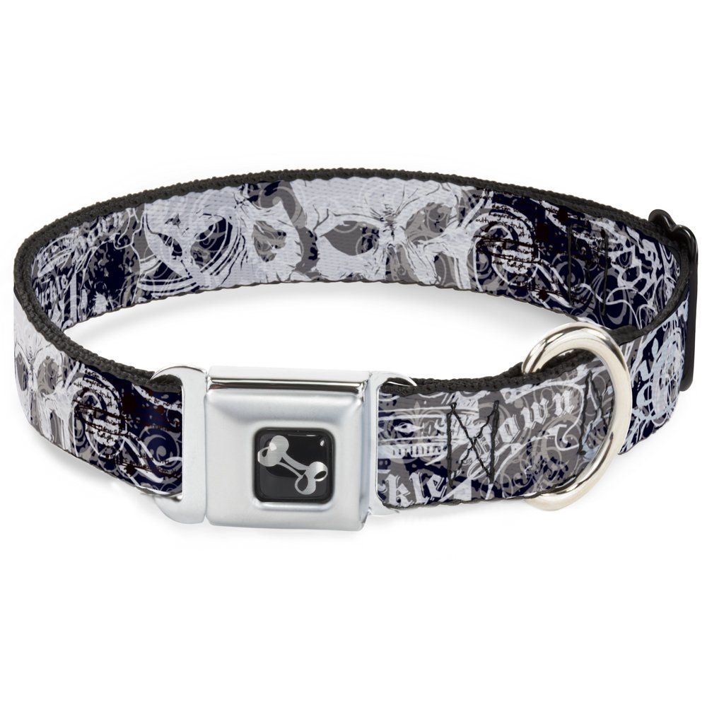 Buckle-Down Dog Collar Seatbelt Buckle Gothic 1 9 to 15 Inches 1.0 Inch Wide, Multicolor, DC-W30701-S