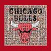 Chicago Bulls Mosaic Print Art Designed Using 50 Past and Present Bulls Players. 11X14" Matted Print view 2