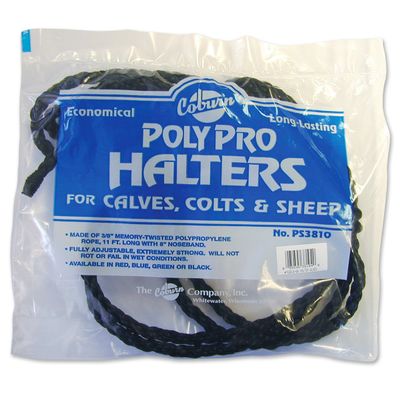 Coburn Bagged Polypro Calf Halter, Black