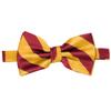 tiemart Striped Bow Tie (Crimson Red and Golden Yellow) view 3