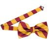 tiemart Striped Bow Tie (Crimson Red and Golden Yellow) view 4