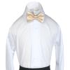 Classic Party Formal Tuxedo Suits Baby Boy Kid Men Satin Colors Bow Tie SM-XL (Medium (5-14 Years), Champagne) view 4