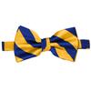 tiemart Striped Bow Tie (Royal Blue and Golden Yellow) view 3