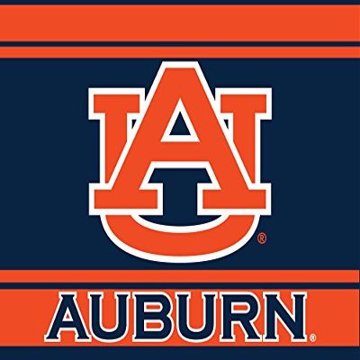 Auburn University 5X6 Inch Rectangle Magnet Stripe Officially Licensed Collegiate Product