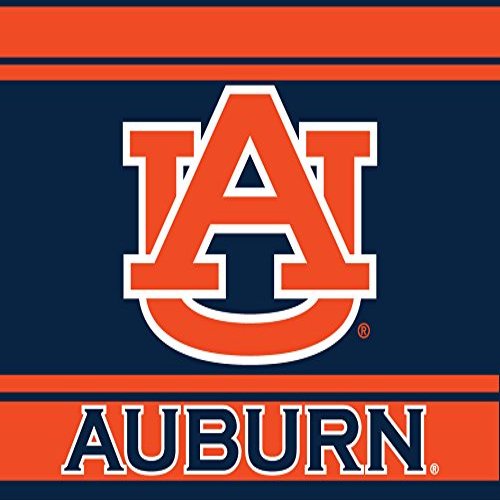 Auburn University 5X6 Inch Rectangle Magnet Stripe Officially Licensed Collegiate Product