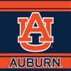 Auburn University 5X6 Inch Rectangle Magnet Stripe Officially Licensed Collegiate Product view 1