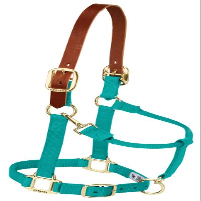 Weaver Equine Breakaway Horse Halter, Supple Leather Crown, Adjustable Chin & Throat Snap Halters for Horses, Equine Tack,Pony Size, Emerald Green