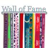 'Wall of Fame' LARGE Medal Hanger Display Holder Brushed Stainless Steel - Made in Britain view 1