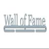 'Wall of Fame' LARGE Medal Hanger Display Holder Brushed Stainless Steel - Made in Britain view 3