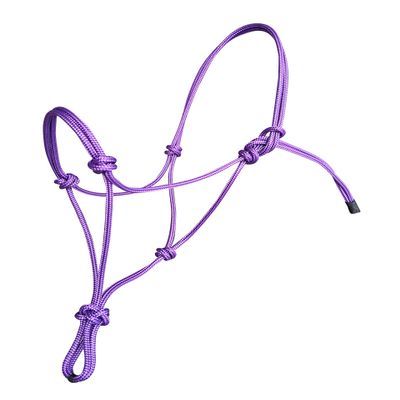 Hunters Saddlery Horse Rope Halters - 11 Sizes - Miniature, Foal, Weanling, Pony, Cob/Arab, Horse, Warmblood, Draft & Custom (Miniature, Purple)