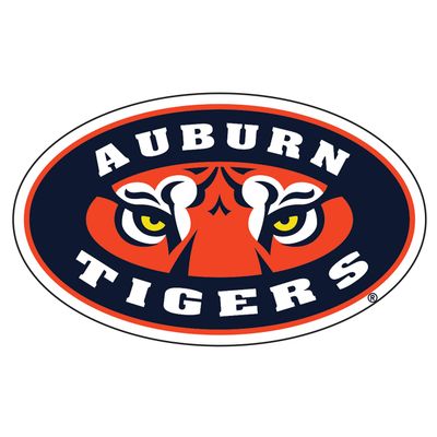 Auburn Tigers Magnet