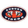 Auburn Tigers Magnet view 1