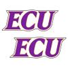 East Carolina Pirates Decal view 1