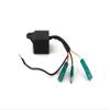Boat Motor C.D.I CDI COIL 4 wires T3.6-04000400 for Parsun Makara Outboard 2HP T2 2-stroke Engine view 2