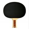 Donic-Schildkrt Champs Line 300 Table Tennis Bat, 1.0 mm Sponge, Jade Pad- ITTF, 705132 view 2