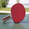 Donic-Schildkrt Champs Line 300 Table Tennis Bat, 1.0 mm Sponge, Jade Pad- ITTF, 705132 view 3