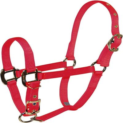 Hamilton Pet & Equine Hamilton 3/4" Nylon Adjustable Chin Horse Halter, Pony, Raspberry