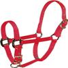 Hamilton Pet & Equine Hamilton 3/4" Nylon Adjustable Chin Horse Halter, Pony, Raspberry view 1