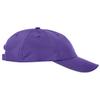 Ash City - Core 365 Adult Pitch Performance Cap OS CAMPUS PURPLE view 2