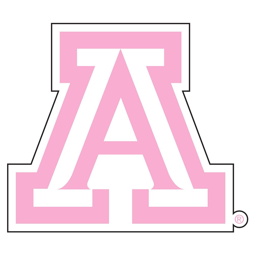 Arizona Wildcats Decal