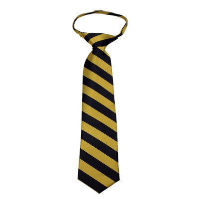 BUYYOURTIES B-ZIP-JCS-ADF-1-6 - Boys Zipper Repp Stripe College Printed Necktie Ties