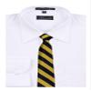 BUYYOURTIES B-ZIP-JCS-ADF-1-6 - Boys Zipper Repp Stripe College Printed Necktie Ties view 2