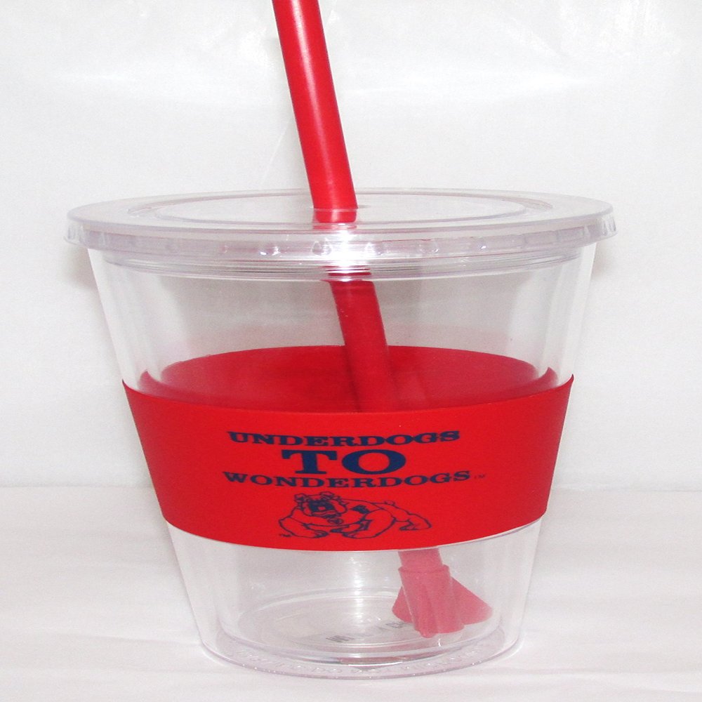 Boelter Brands Fresno State University 22 oz. Slogan Tumbler with Straw