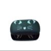 Sass and Belle BLACK CAT GLASSES CASE (LOU010) view 3