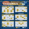300 Pieces Magnetic Business Card Pro Basketball Sports Schedules 3.5 x 9 (Indiana) view 1