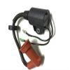 Boat Motor T15-04001200 Ignition Coil Assy for Parsun Makara Outboard T9.9 T15 HP Engine 2-stroke view 3