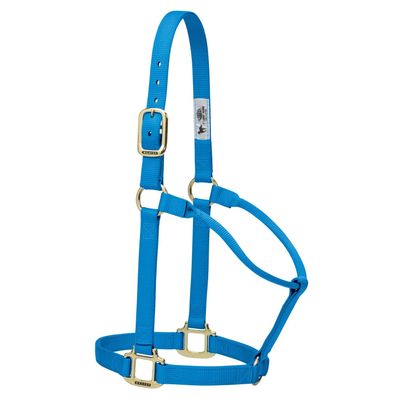 Weaver Leather Nylon Adjustable Breakaway Horse Halter, Yearling, Hurricane Blue