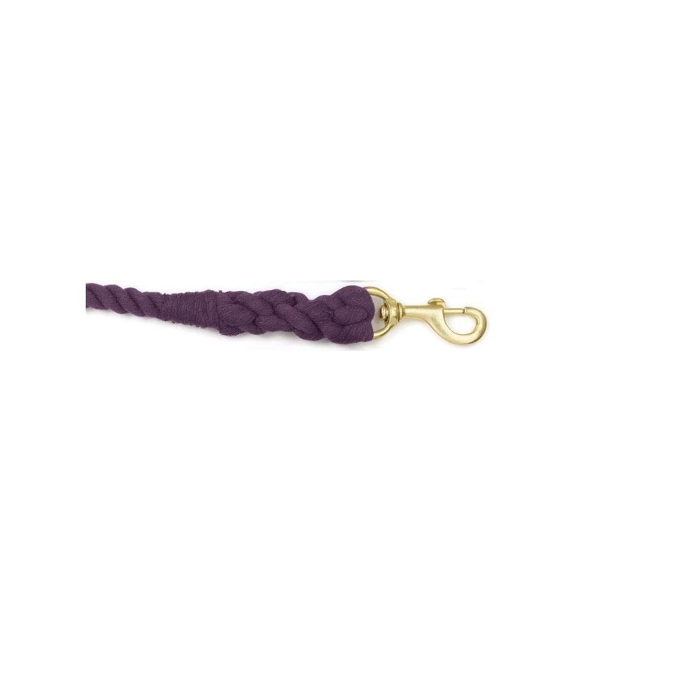 Equi Essentials 3 Ply Cotton Lead w/Brass Snap 3/